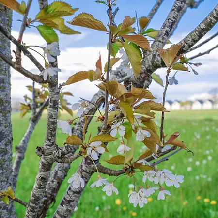 Gorgeous In With Wifi