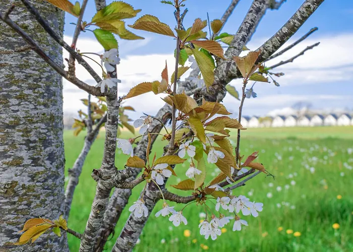 Gorgeous In With Wifi